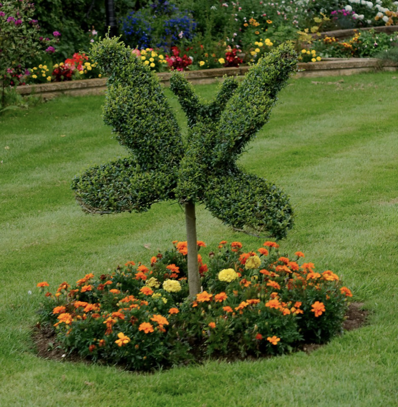 Topiary Butterfly